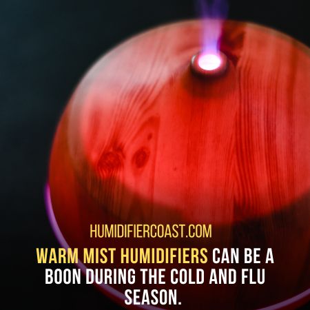 Warm Mist Humidifier 